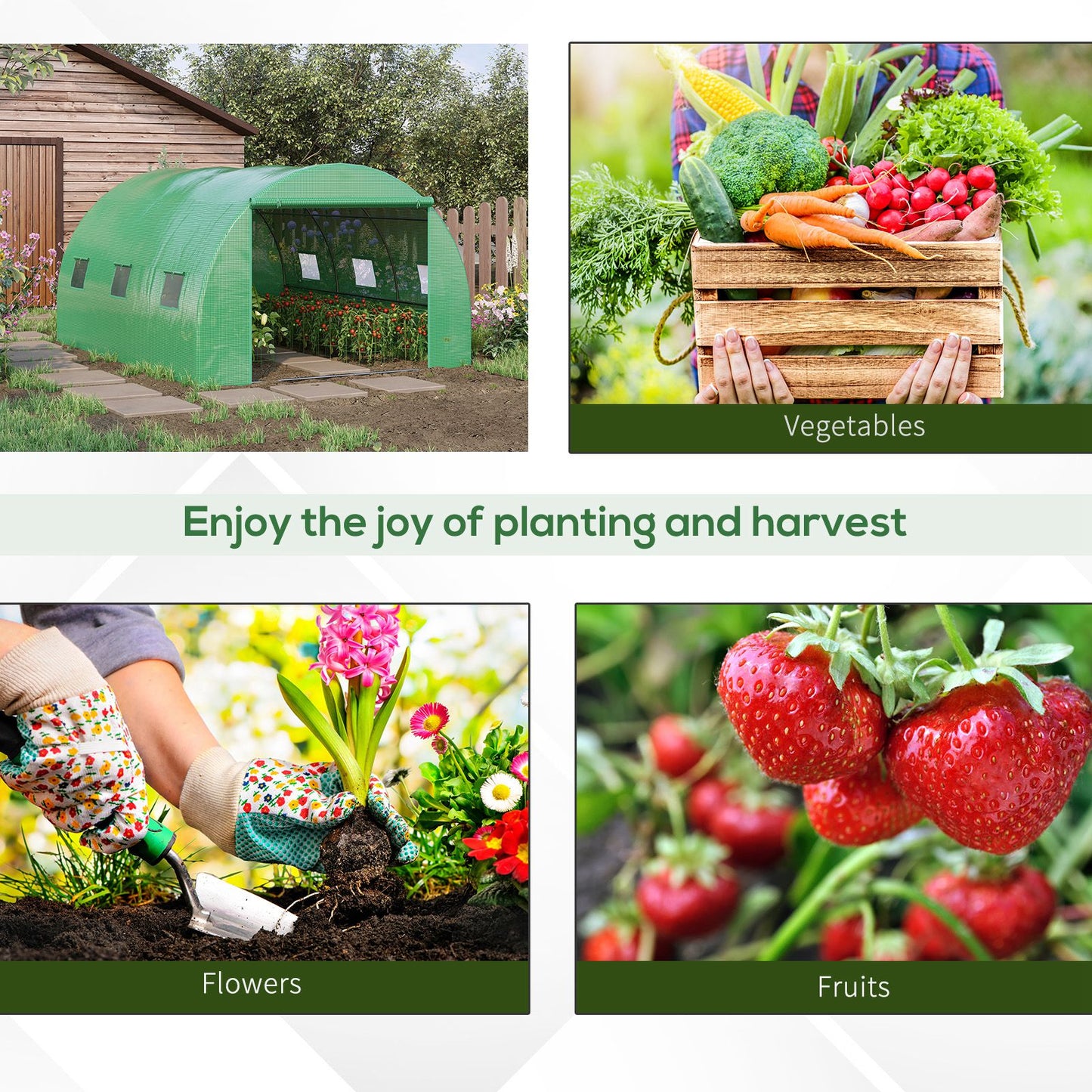 Walk-in Polytunnel Greenhouse (4)