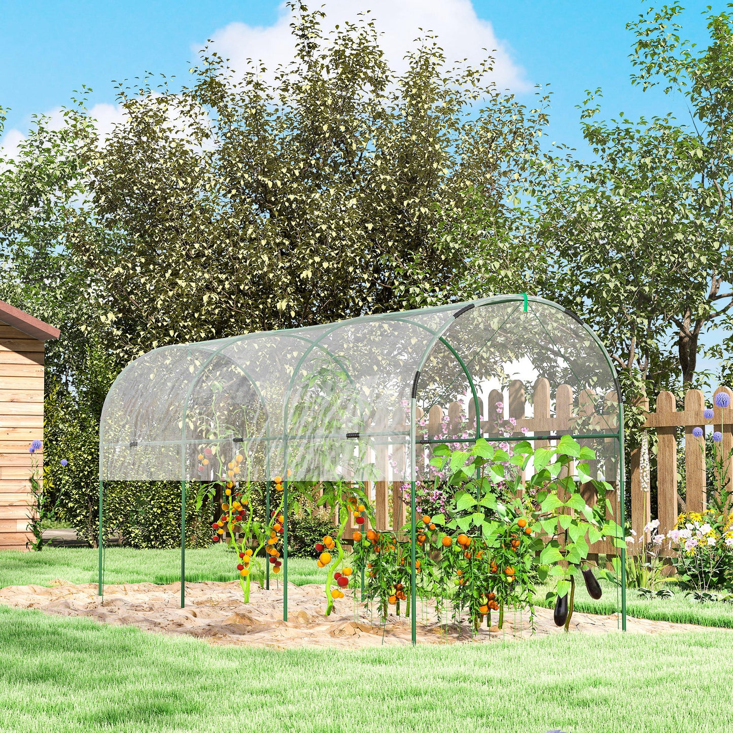 Tunnel Tomato Greenhouse with 4 Hoops and Top Tap