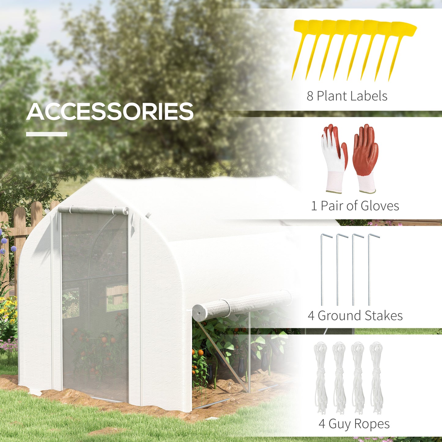 3 x 2(m) Walk-in Polytunnel Greenhouse, Zipped Roll Up Sidewalls