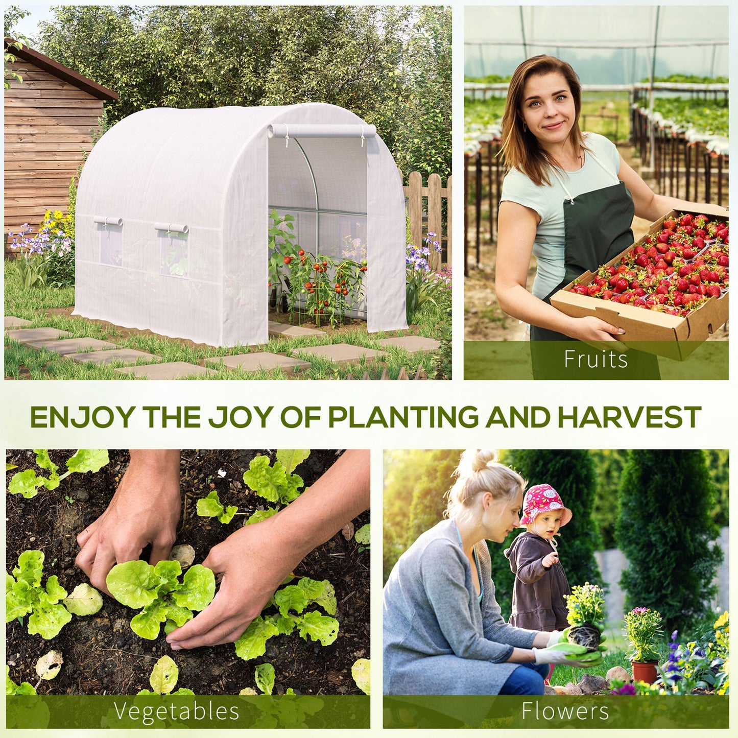 2.5 x 2 x 2 m Polytunnel Greenhouse