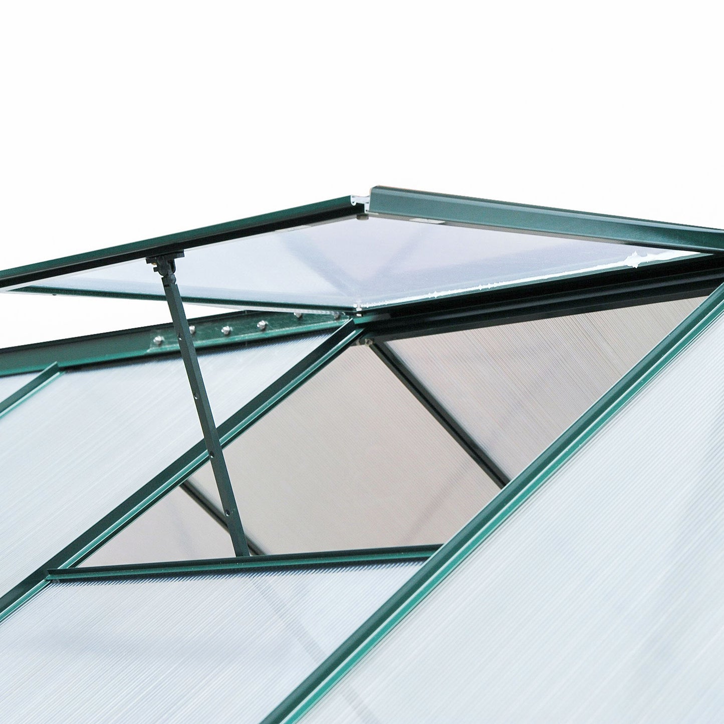 6 x 8ft Polycarbonate Greenhouse