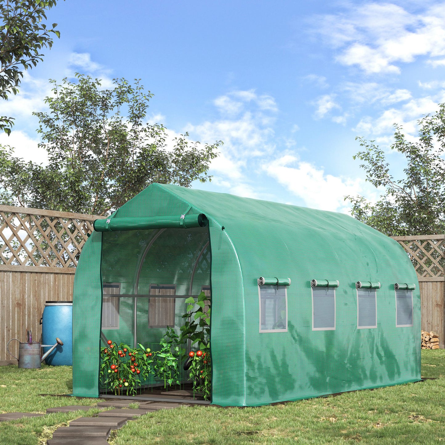 Polytunnel Greenhouse with Windows and Door