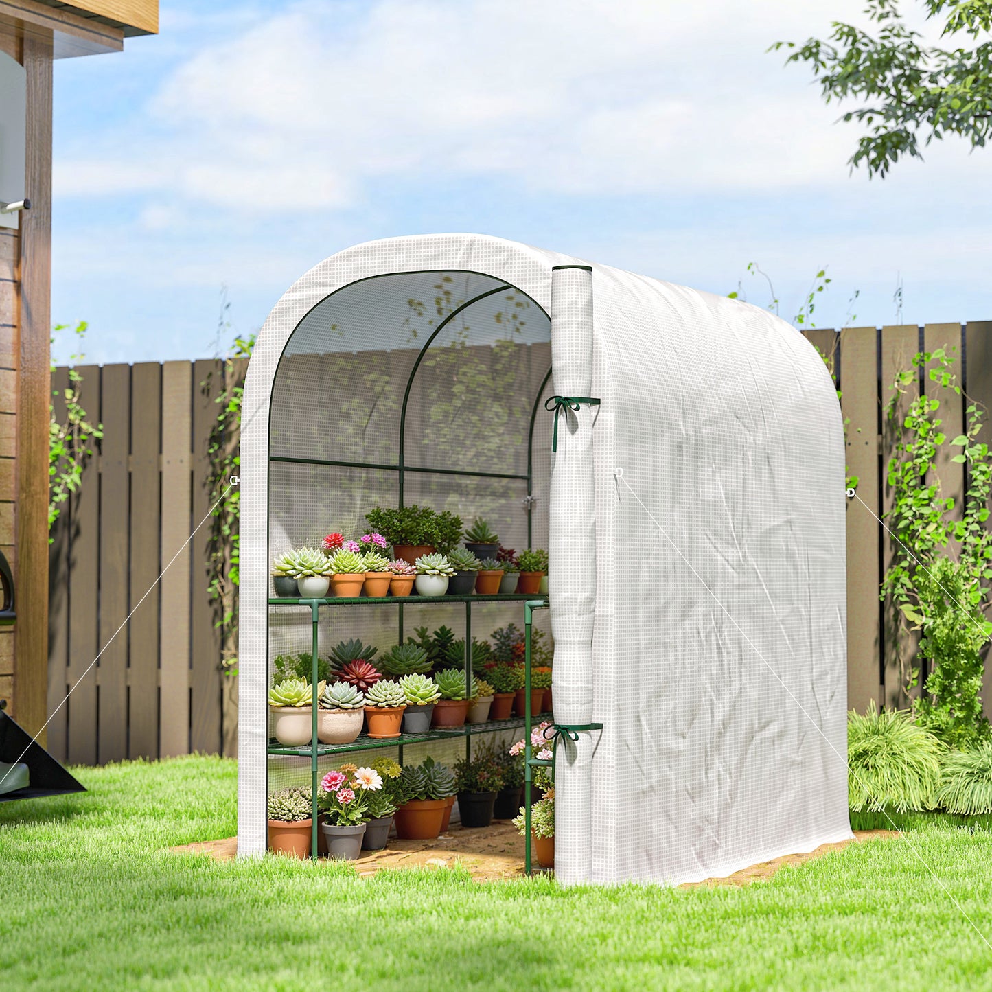 Walk-in Greenhouse with Shelves