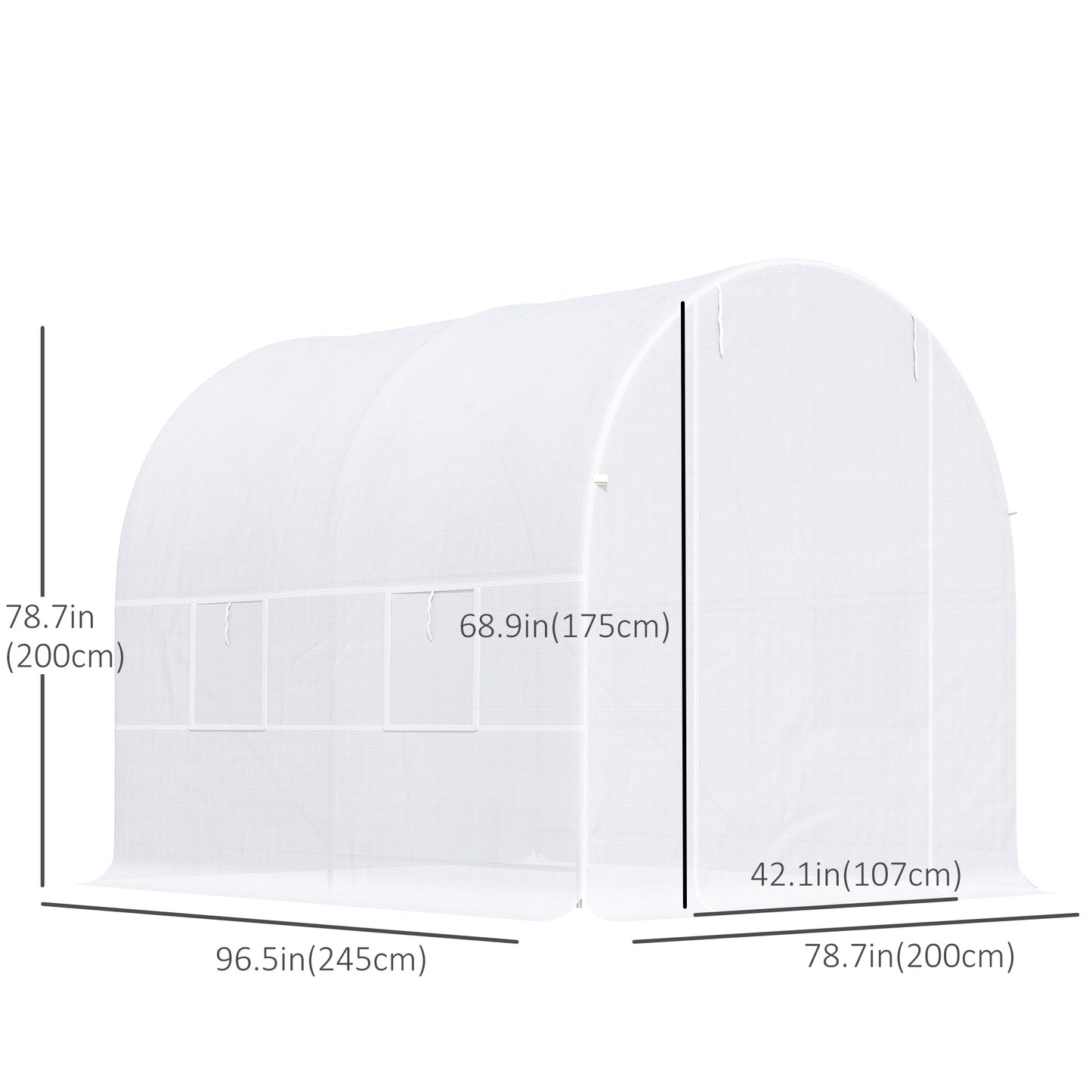 2.5 x 2 x 2 m Polytunnel Greenhouse