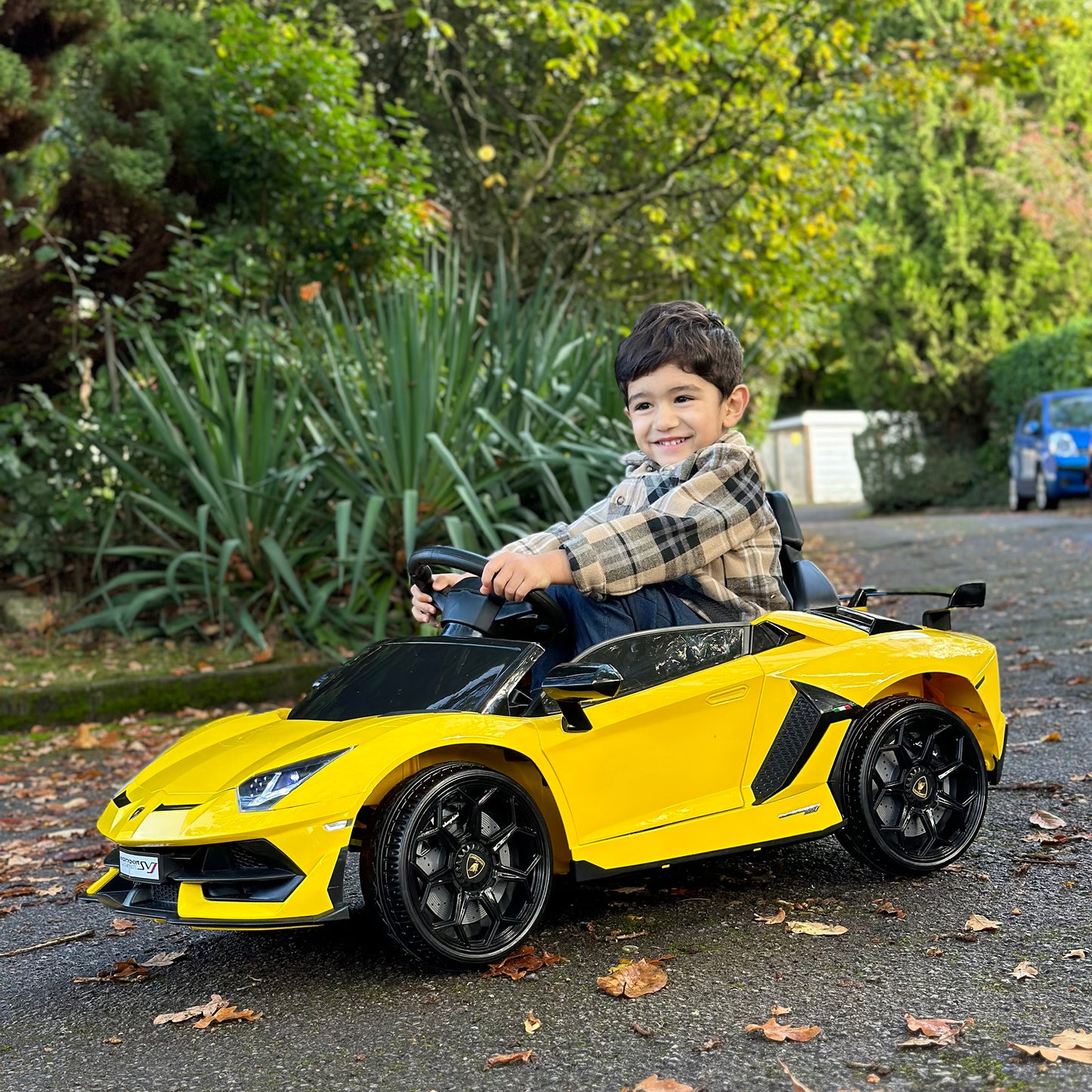 Lamborghini Licensed 12V kids Electric Car w/ Butterfly Doors