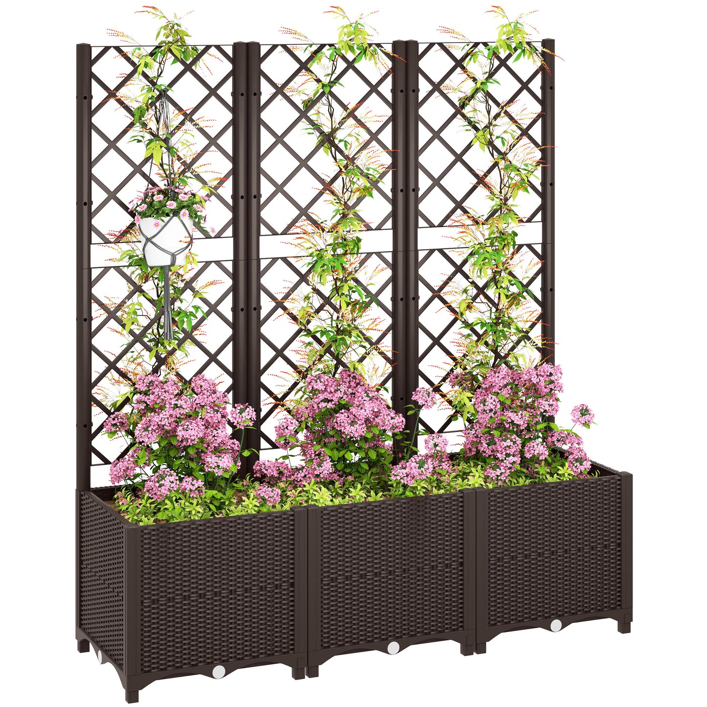 Raised Garden Bed with Trellis (3)