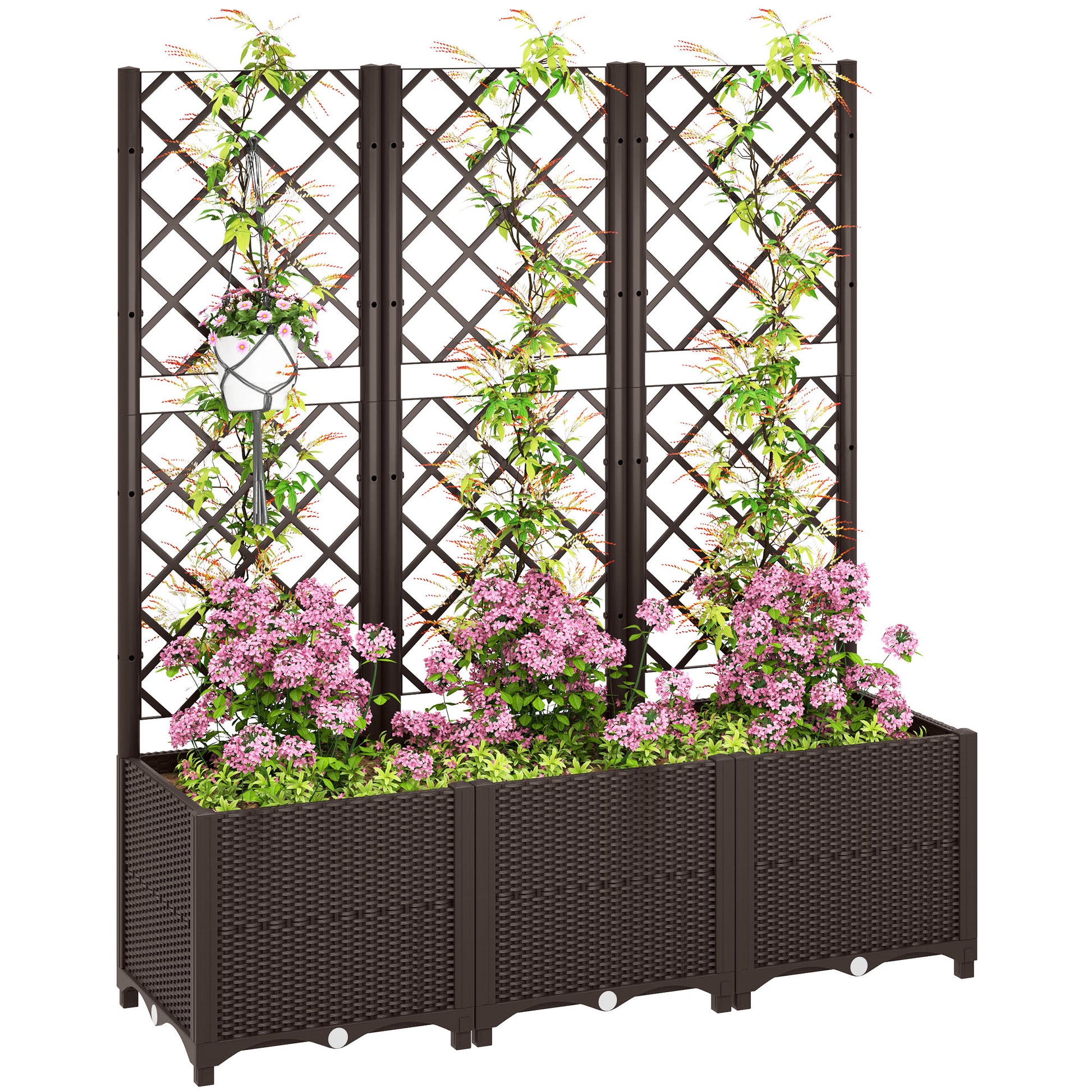 Raised Garden Bed with Trellis (3)