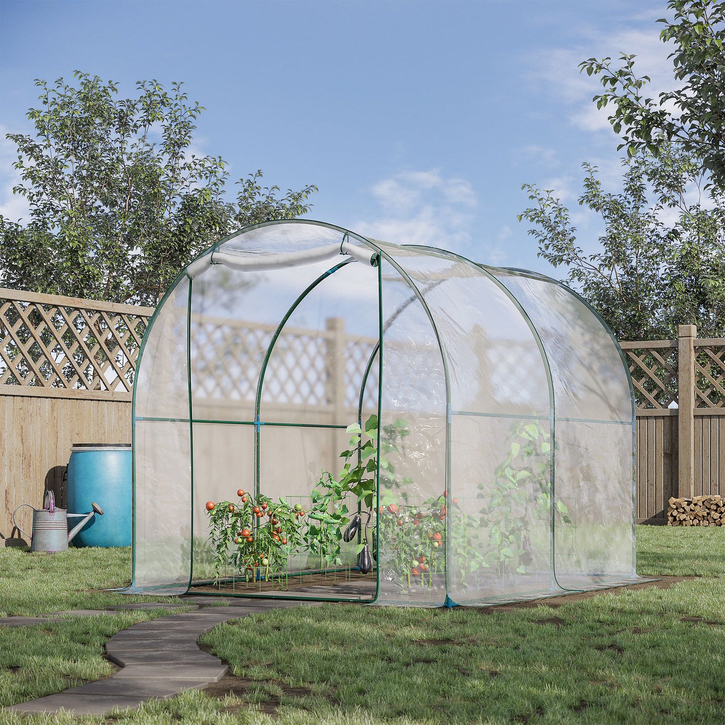 Walk-in Polytunnel Greenhouse (2)