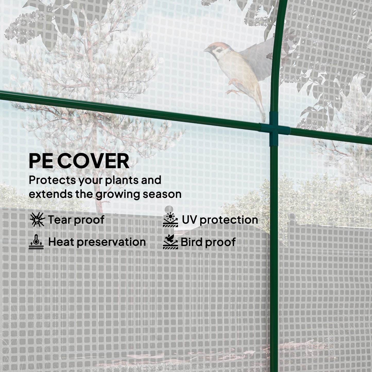 Walk in Polytunnel Greenhouse