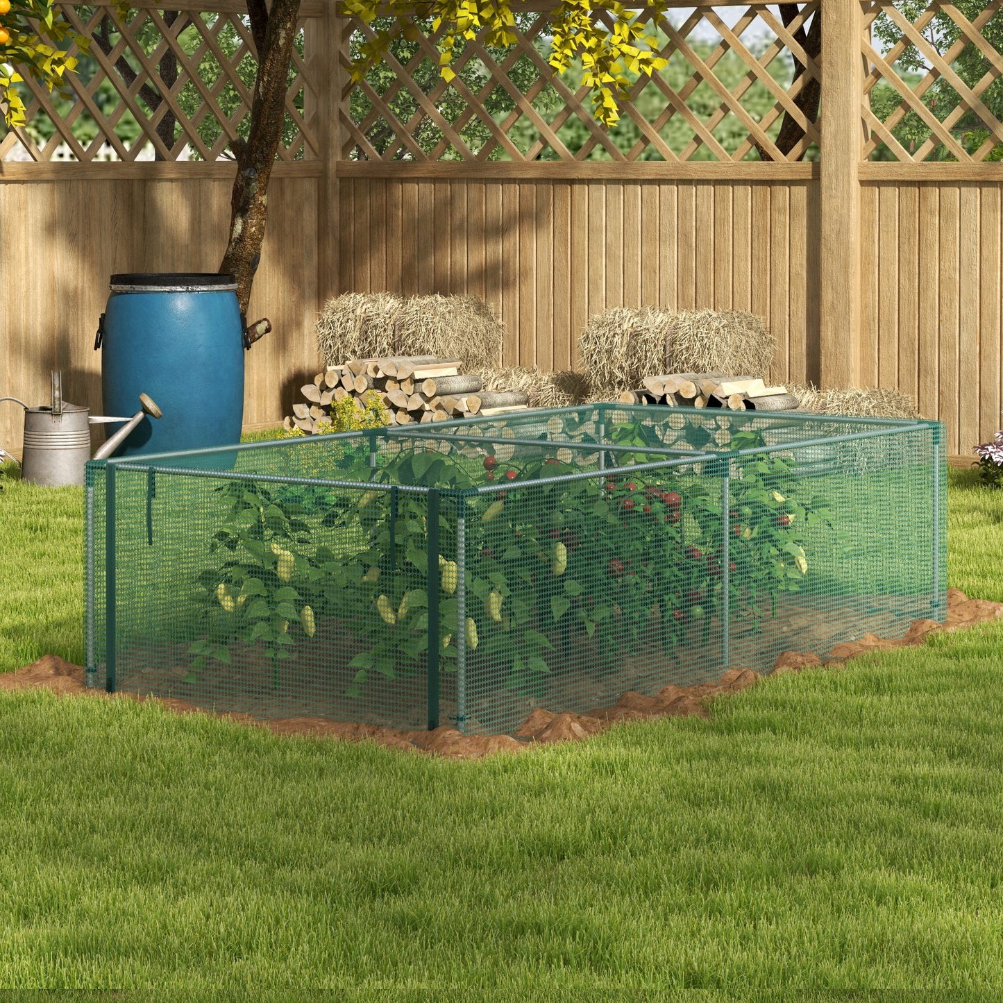 8' x 4' Plant Protection Cage, with Door
