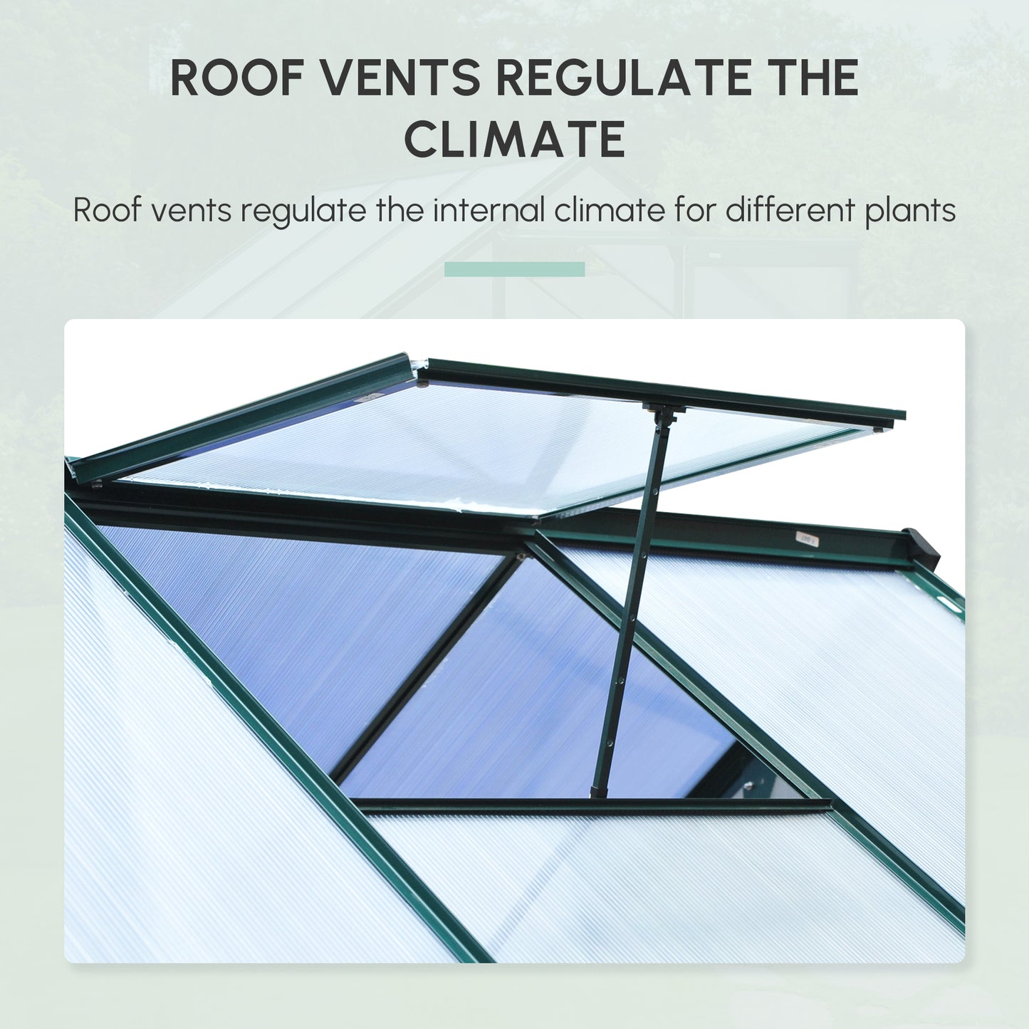 6 x 6ft Polycarbonate Greenhouse