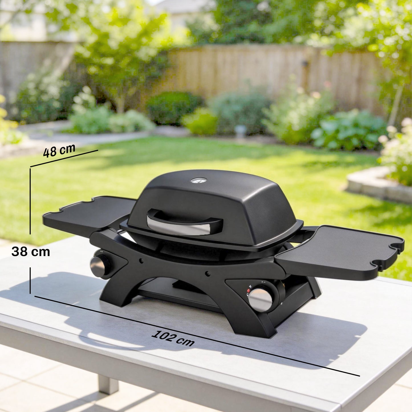 2 Burner Gas Grill with 2 Detachable Side Tables