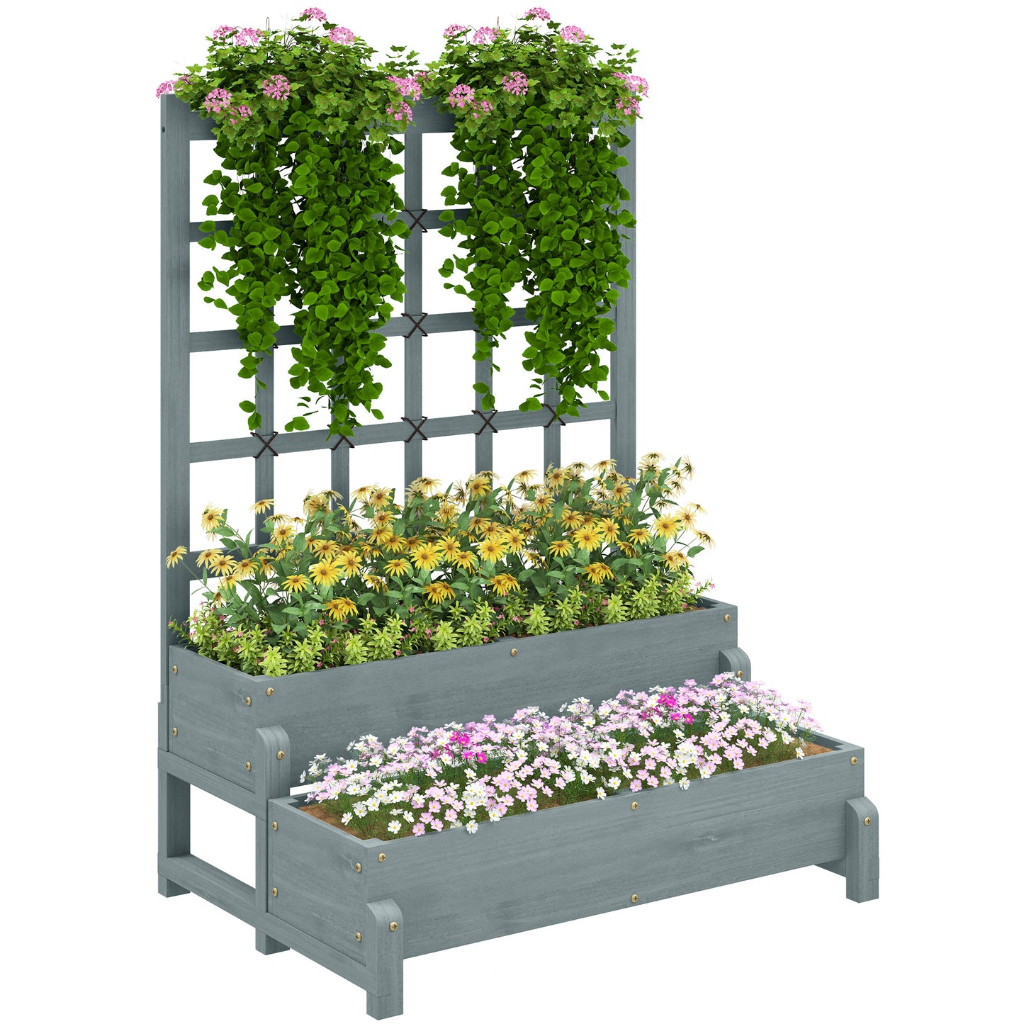 2-Tier Raised Garden Bed with Trellis